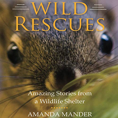 Wild Rescues by Amanda Mander