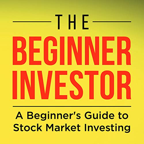 The Beginner Investor