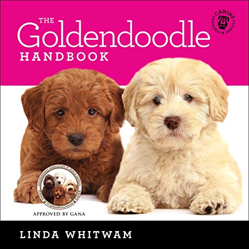 The Goldendoodle Handbook: The Essential Guide For New & Prospective Goldendoodle Owners (Canine Handbooks)