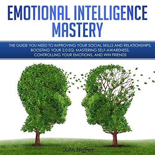 Emotional Intelligence Mastery by John Hoffner