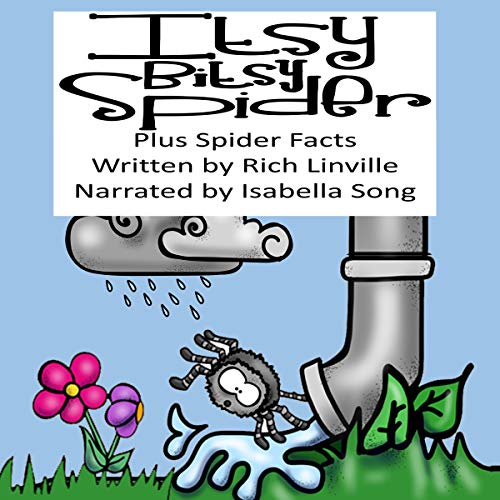 Itsy Bitsy Spider Plus Spider Facts