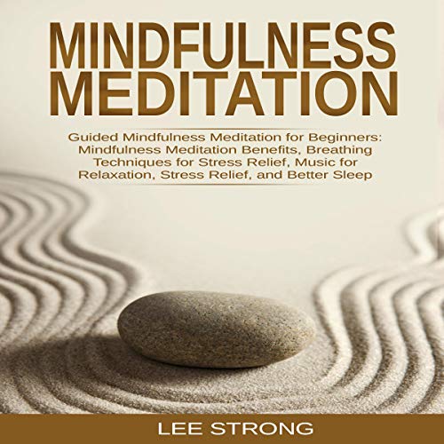 Mindfulness Meditation: Guided Mindfulness Meditation for Beginners