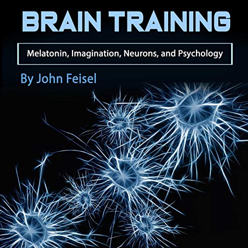 Brain Training by John Feisel