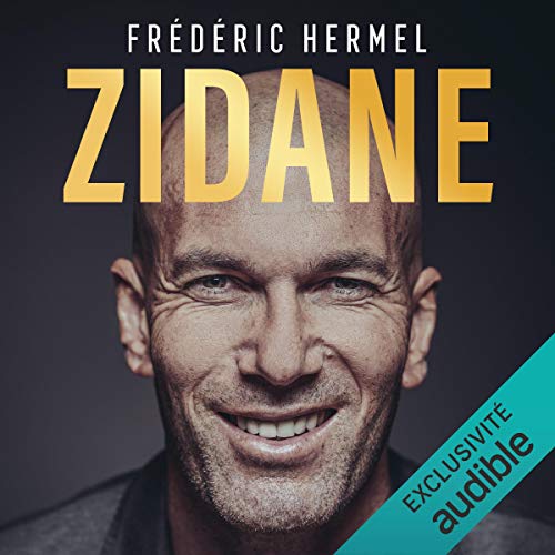 Zidane by Frédéric Hermel