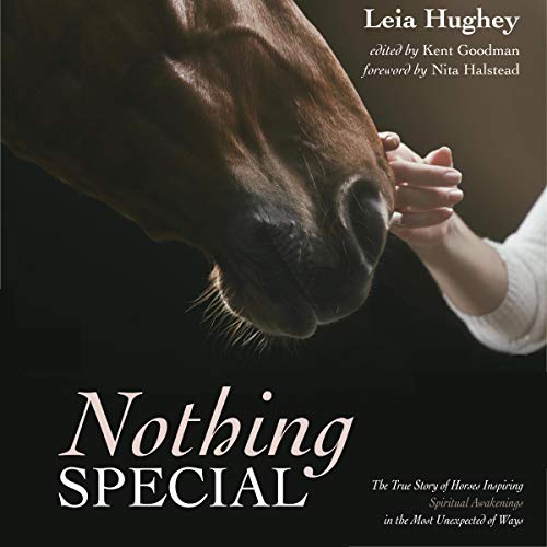Nothing Special by Leia Hughey