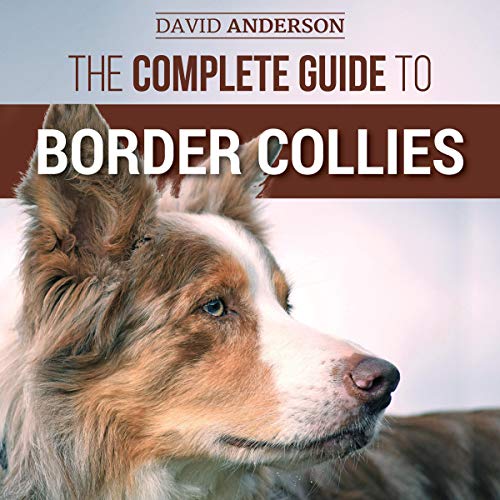 The Complete Guide to Border Collies