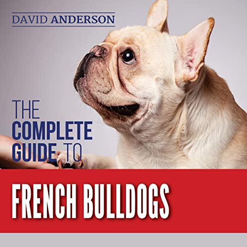 The Complete Guide to French Bulldogs