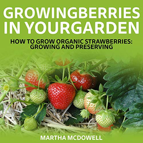 Growing Berries In Your Garden