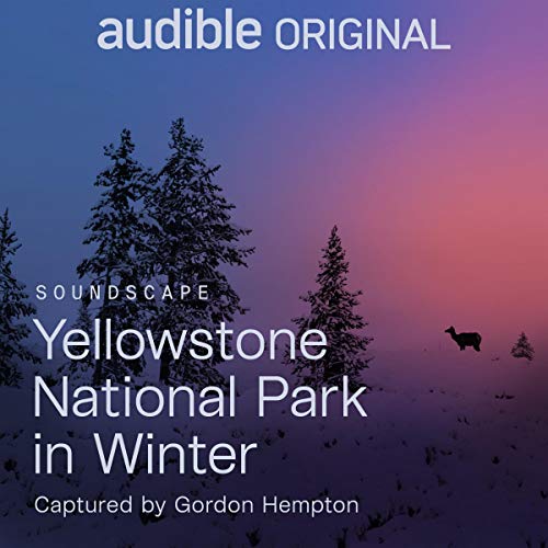 Yellowstone National Park in Winter