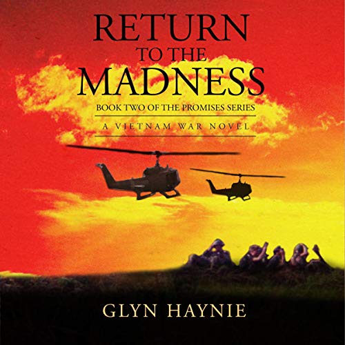 Return to the Madness: A Vietnam War Novel