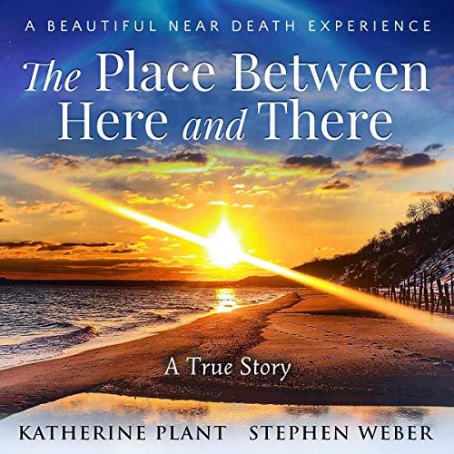The Place Between Here and There by Stephen Weber