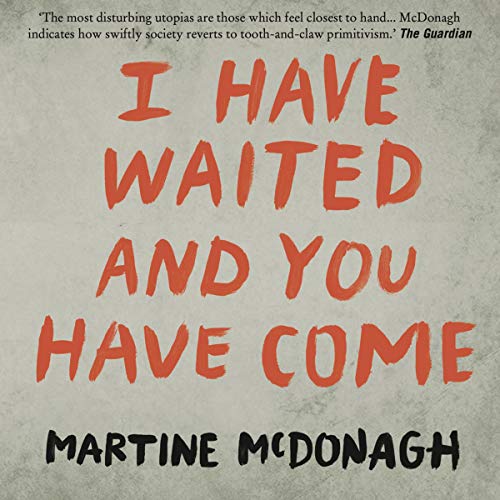 I Have Waited, and You Have Come by Martine McDonagh