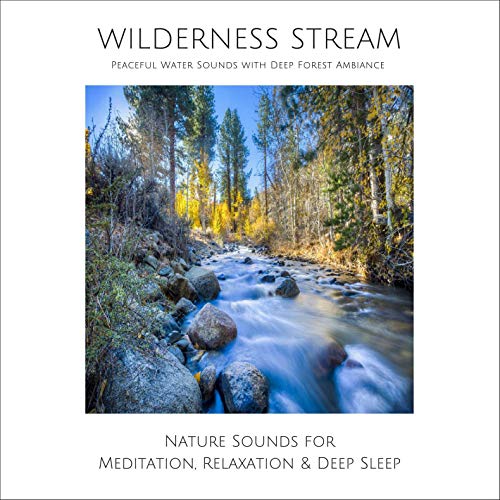 Wilderness Stream. Peaceful Water Sounds with Deep Forest Ambience