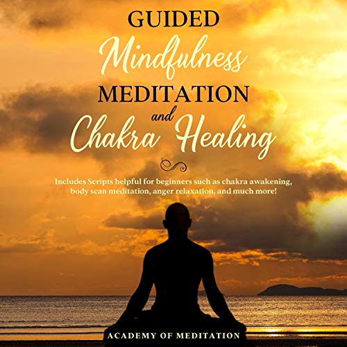 Guided Mindfulness Meditation and Chakra Healing