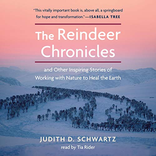 The Reindeer Chronicles