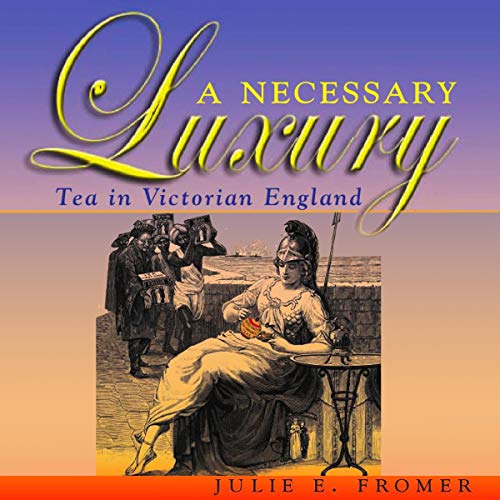 A Necessary Luxury by Julie E. Fromer
