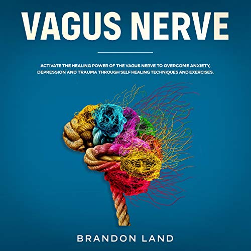 Vagus Nerve by Brandon Land