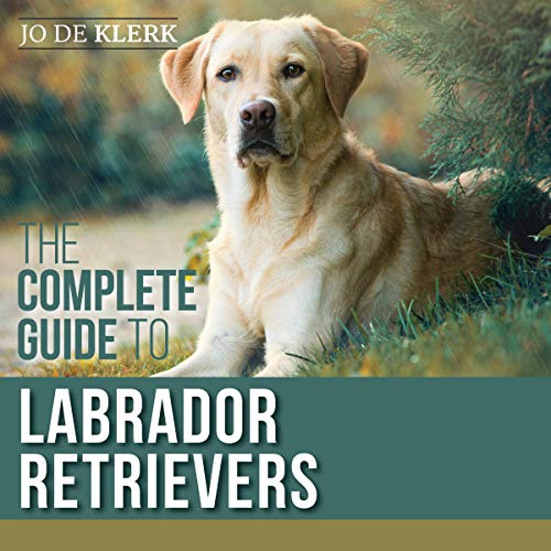 The Complete Guide to Labrador Retrievers