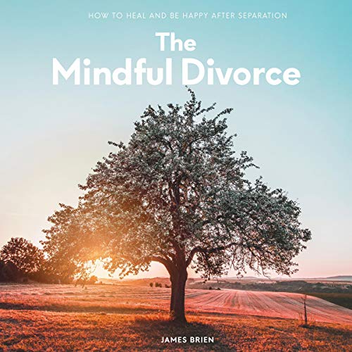 The Mindful Divorce by James Brien