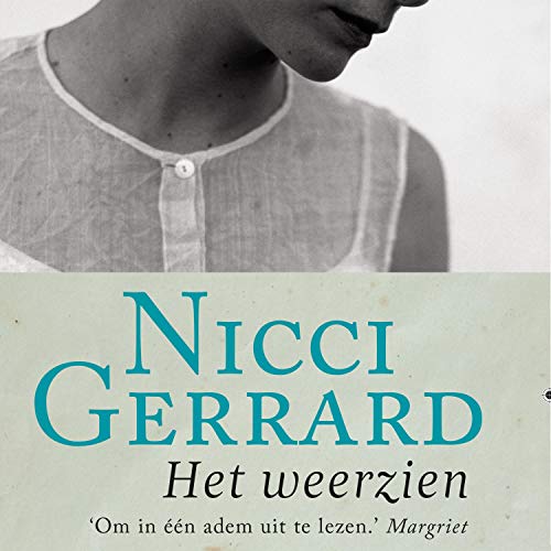 Het weerzien by Nicci Gerrard