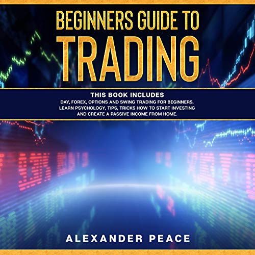 Beginners Guide to Trading