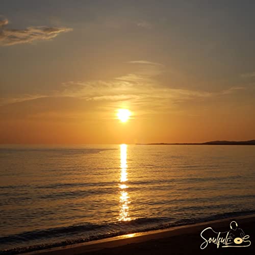 2. Soulful Reggae by SoulfulDoS