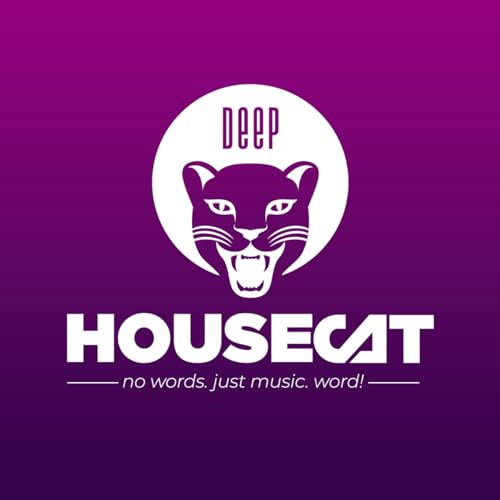 Deep House Cat by Alex B. Groove