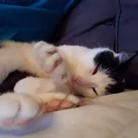 My fluent Podcast by Daniel Goodson