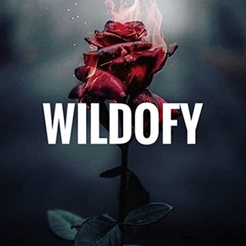 AURA by WILDOFY MUSIC