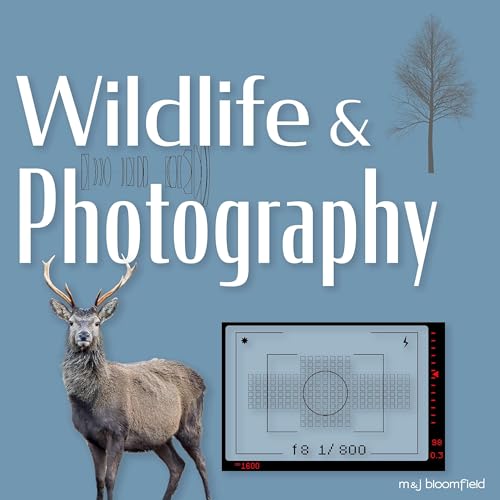 Wildlife and Photography by M & J Bloomfield
