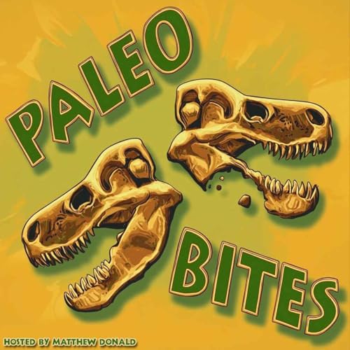Paleo Bites by Matthew Donald