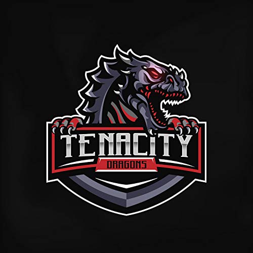 Tenacity Talks by Tenacity Esports