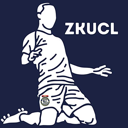 Zwischen Kreisliga und Champions League by Soccer City e.V.