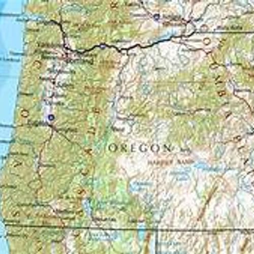 The Oregon Files by Eliav Bowman and Mark Layton