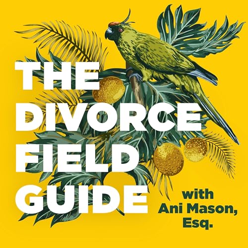 The Divorce Field Guide by Ani Mason Esq.