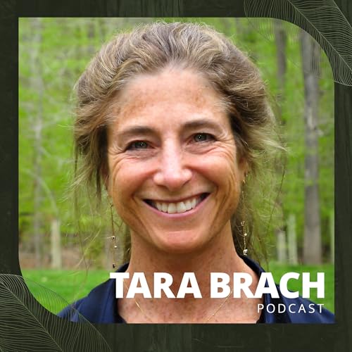 Tara Brach