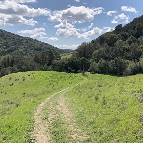 Green Space Stories by Green Space Stories