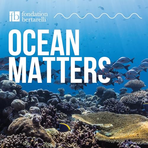 Ocean Matters by The Bertarelli Foundation