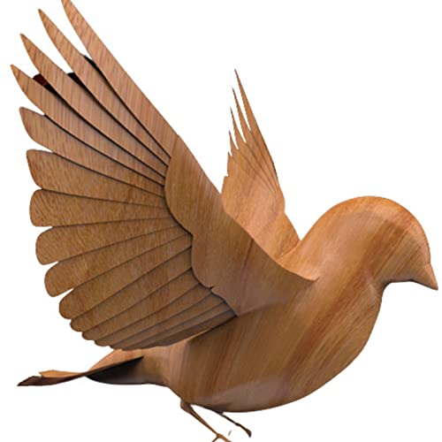 NFTs For Freedom by NFTs For Freedom