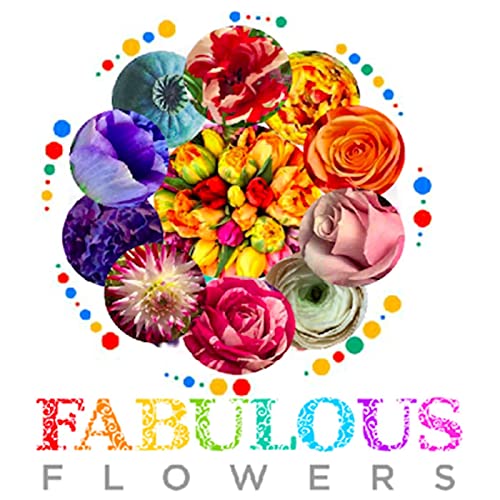 Fabulous Flowers tv by Fabulous Flowers TV