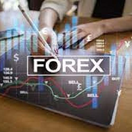 ✅Forex trading: A beginner's guide 💥【FREE!!!】 by Maria Diestro Ordoñez