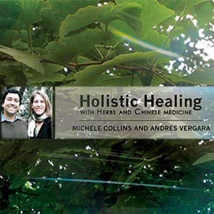Holistic Healing with Herbs and Chinese Medicine by Michele Collins RH (AHG) MPH and Andres Vergara M.Ac. L.Ac.