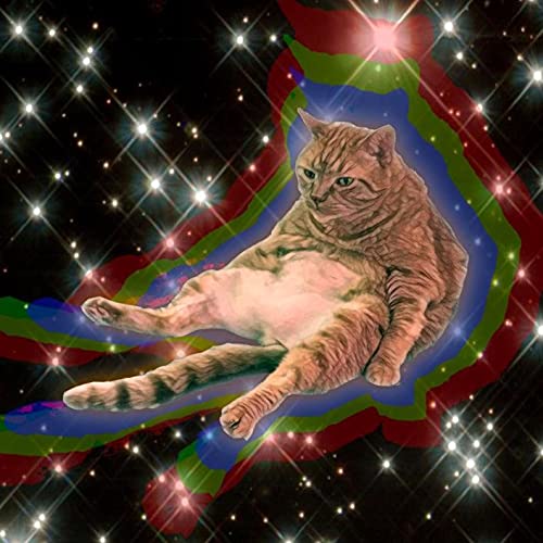 The International House of Dancakes by Dan Warren