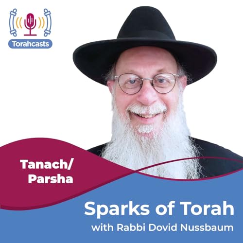 Sparks of Torah by Rabbi Dovid Nussbaum