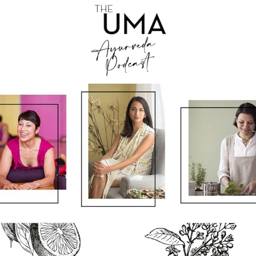 The UMA Ayurveda Podcast by Shrankhla Holecek