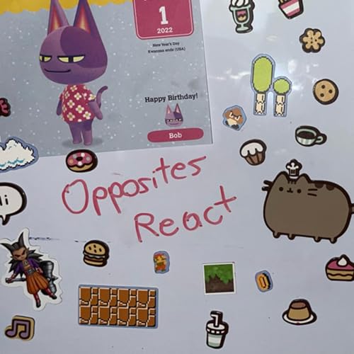 Opposites React by Tyler and Sara