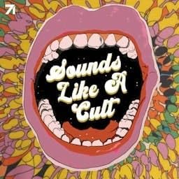 Sounds Like A Cult by Studio71