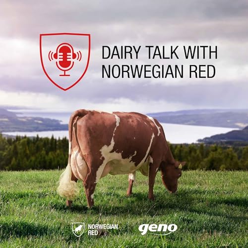Dairy talk with Norwegian Red by Geno SA