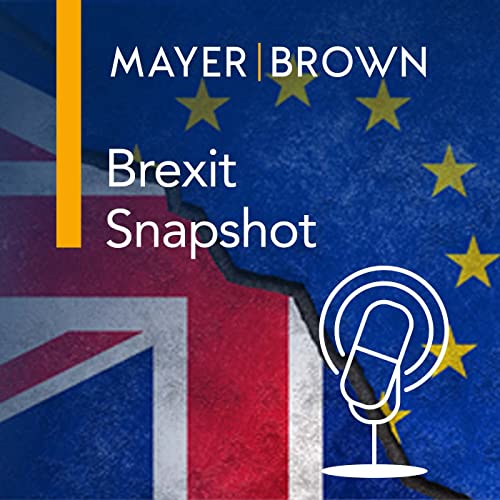 Brexit Snapshot by Mayer Brown