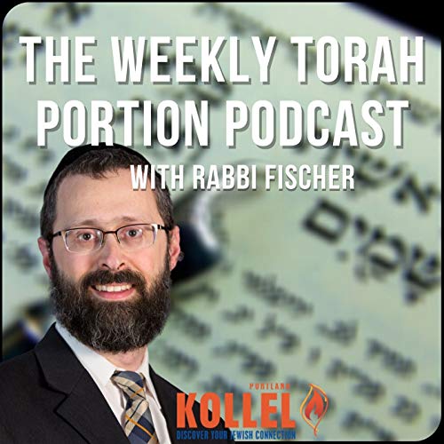 The Weekly Torah Portion Class by Rabbi Tzvi Fischer